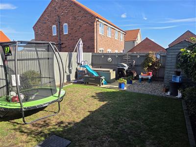 Picture 15